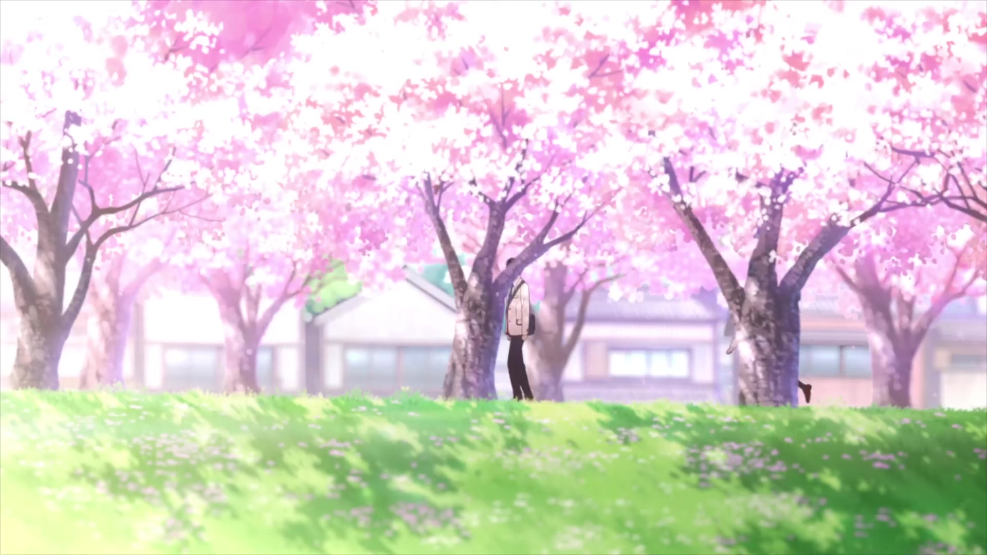 [Tsukyio Editing Resources] I Want to Eat Your Pancreas Raw Clips (946) (tsukyio.com).mp4